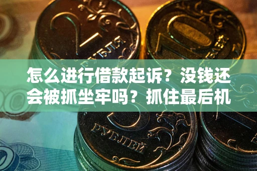 北京怎么进行借款起诉？没钱还会被抓坐牢吗？抓住最后机会！