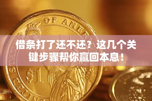 北京借条打了还不还？这几个关键步骤帮你赢回本息！