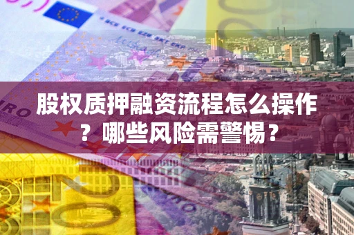 北京股权质押融资流程怎么操作？哪些风险需警惕？