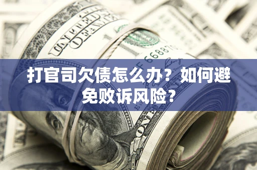 北京打官司欠债怎么办？如何避免败诉风险？
