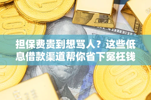 北京担保费贵到想骂人？这些低息借款渠道帮你省下冤枉钱
