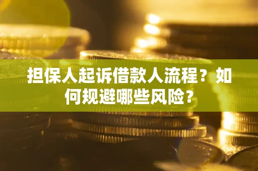 北京担保人起诉借款人流程？如何规避哪些风险？