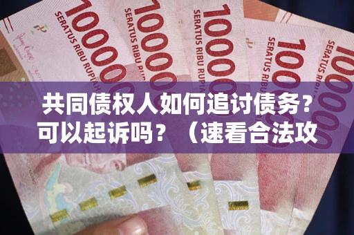 北京共同债权人如何追讨债务？可以起诉吗？（速看合法攻略）