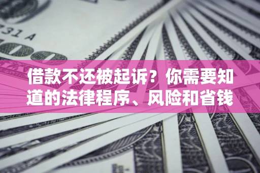 北京借款不还被起诉？你需要知道的法律程序、风险和省钱技巧