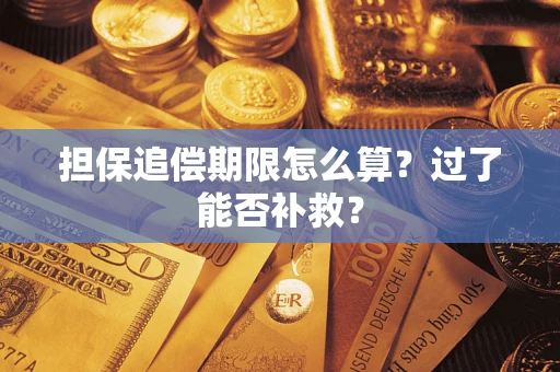 北京担保追偿期限怎么算？过了能否补救？